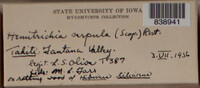 Image Associated With the Occurence